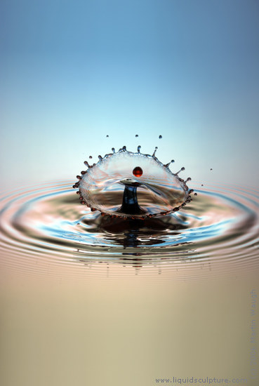 water droplet. Water Drop Photograph