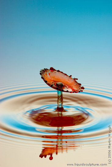 water drop. Water Drop Photograph