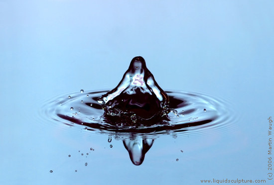 pictures Download Water Drop water drop. pictures Download Water Drop