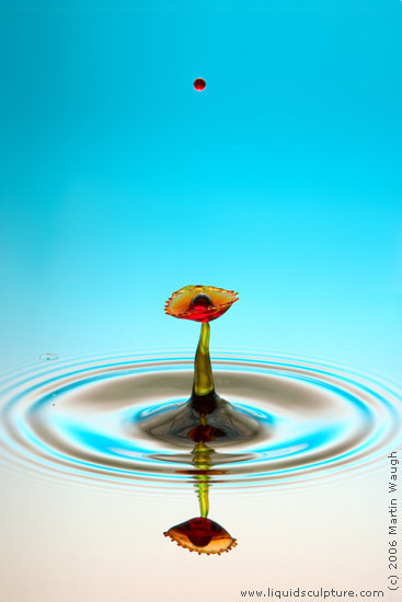 drop of water. Water Drop Photograph