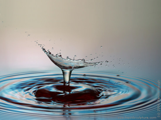 drop of water. Water Drop Photograph
