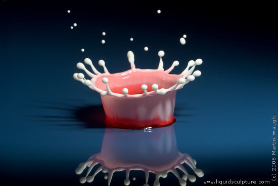 Water Drop image called "PinkOyster", (c) 2011 Martin Waugh